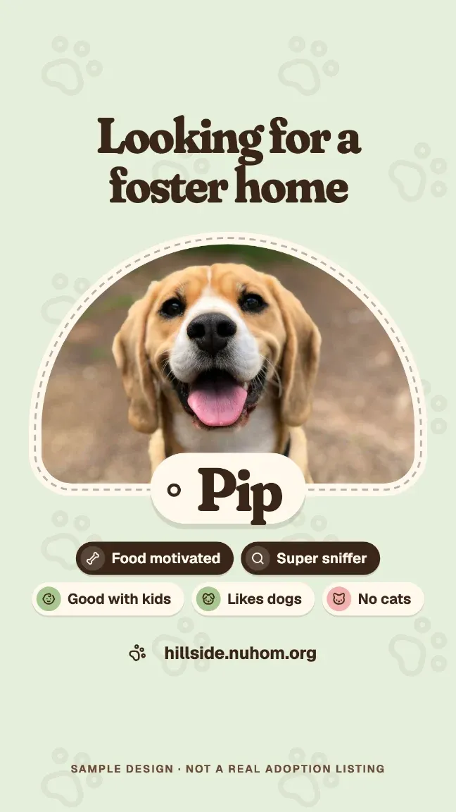 Foster appeal, story format.