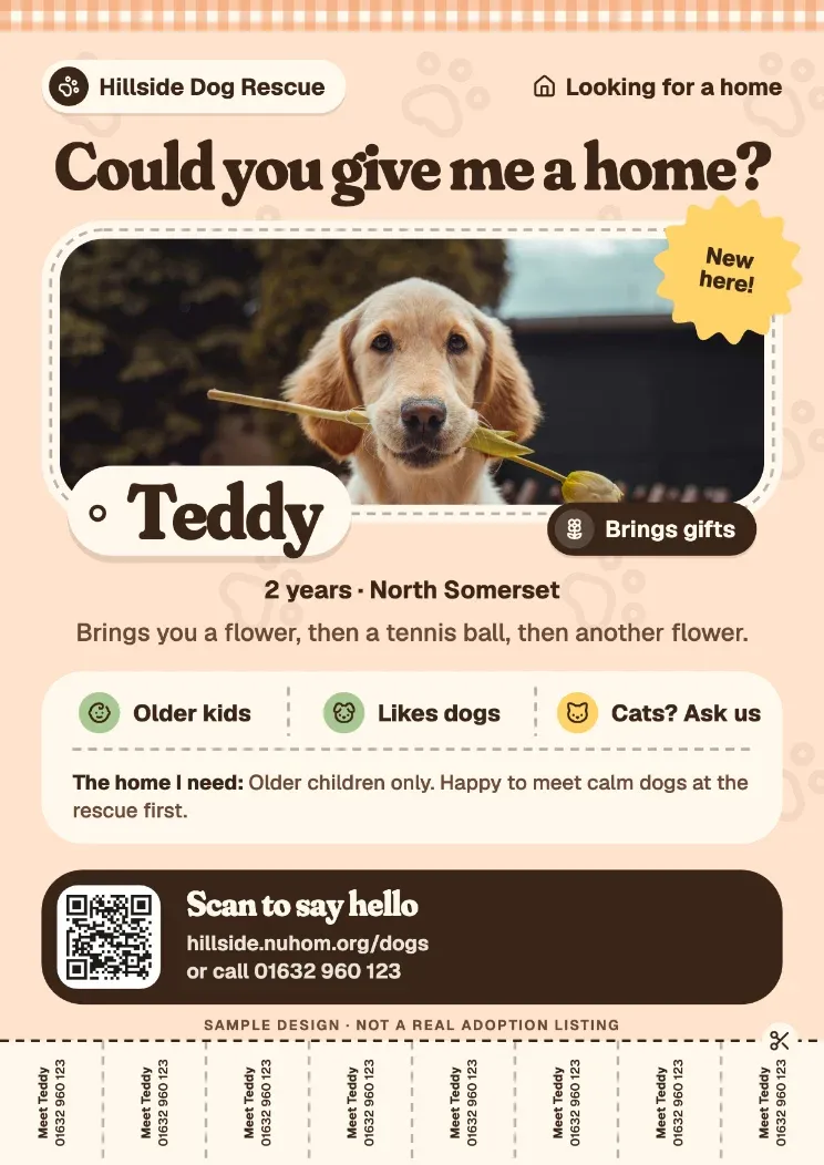 Rehoming appeal poster.