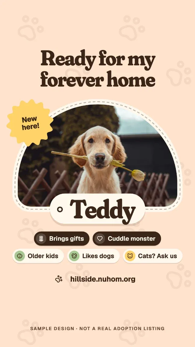 Rehoming appeal, story format.